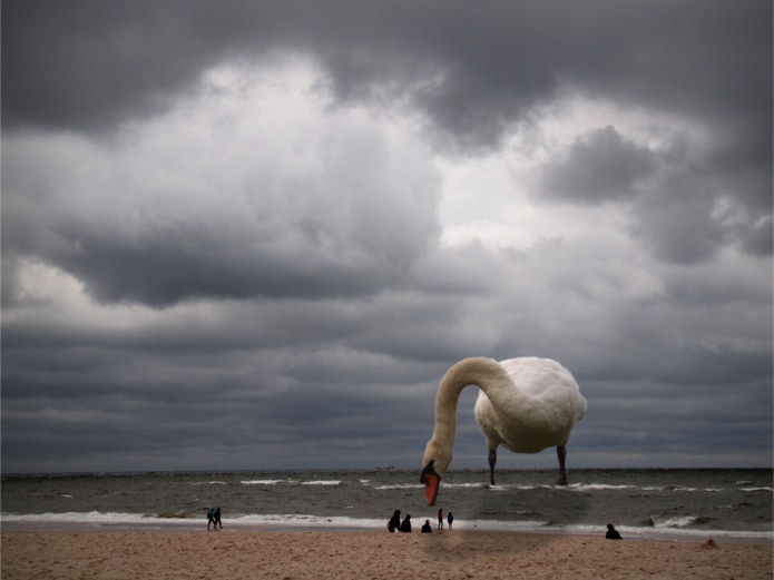 Er möchte nur spielen